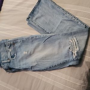 American Eagle Slim Boot Jeans Size 12 Extra Long
